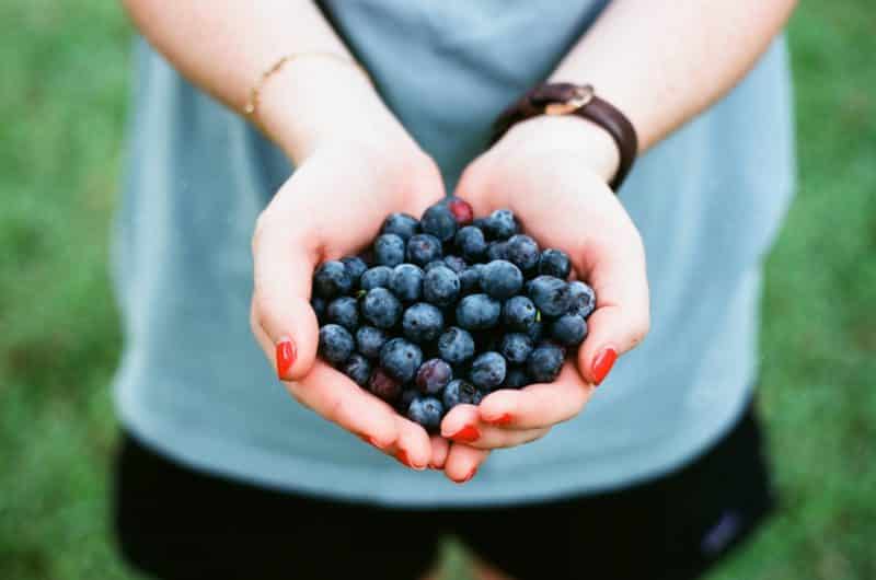 health, food, berries